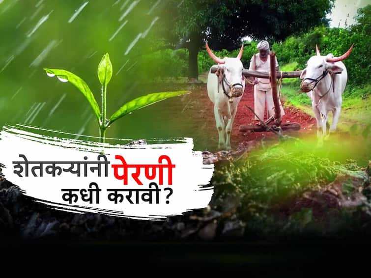 Agriculture News Maharashtra Rain start but should farmers sow? Read expert advice imd rain news Agriculture News : राज्यात पावसाला सुरुवात, मात्र शेतकऱ्यांनी पेरणी कधी करावी? वाचा तज्ज्ञांचा सल्ला