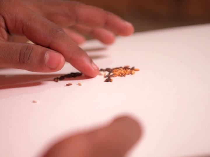 एका कागदावर विठ्ठलाचं चित्र रेखाटून त्यामध्ये वेगवेगळ्या रंगाचे तांदूळ भरले.