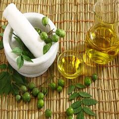 Neem Leaves: ਖਾਲੀ ਪੇਟ ਨਿੰਮ ਦੀਆਂ ਪੱਤੀਆਂ ਚੱਬਣ ਦੇ ਜ਼ਬਰਦਸਤ ਫਾਇਦੇ