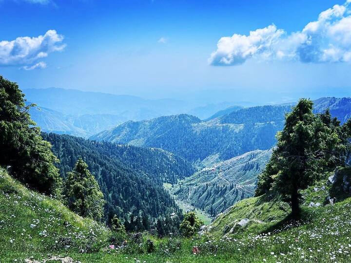 आप चाहे तो इस स्ट्रीट फूड का भी लुत्फ उठा सकते हैं. इसके लिए आपको बहुत ही कम खर्च करना पड़ेगा.जिस तरह से आप दिल्ली से डलहौजी पहुंचे, ठीक उसी तरह से पहले बस फिर ट्रेन का रास्ता पकड़कर आप वापस आ सकते हैं.