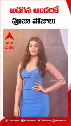 కెమెరాలకు పోజులిచ్చిన పూజా హెగ్డే