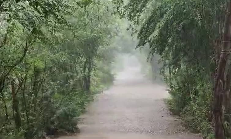 It rained in these 89 talukas in Gujarat today Rain Update:ગુજરાતમાં ચોમાસાની ધમાકેદાર શરૂઆત, આજે આ 89 તાલુકામાં વરસ્યો વરસાદ