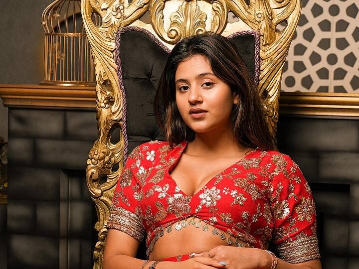 अंजलि अरोड़ा ने शॉर्ट-वीडियो प्लेटफॉर्म टिकटॉक से शुरुआत की, जो अब भारत में बंद हो चुका है. उसके बाद उन्होंने इंस्टाग्राम, फेसबुक और यूट्यूब जैसे प्लेटफॉर्म पर फोकस किया.