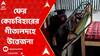 Panchayat Election: নির্দল প্রার্থীর বাড়ি ভাঙচুর, ফের কোচবিহারের গীতালদহে উত্তেজনা । ABP Ananda Live