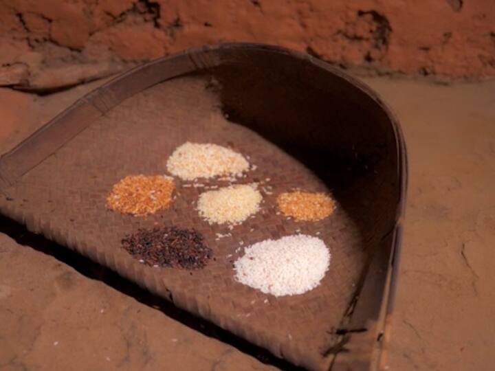 भाजल्यानंतर तांदळाला वेगवेगळे रंग आले.