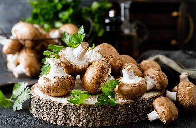 Mushroom is very effective in weight loss know how to include it in diet ਭਾਰ ਘੱਟ ਕਰਨ 'ਚ ਬਹੁਤ ਕਾਰਗਰ ਹੈ ਮਸ਼ਰੂਮ, ਜਾਣੋ ਇਸ ਨੂੰ ਡਾਈਟ 'ਚ ਕਿਵੇਂ ਕਰਨਾ ਹੈ ਸ਼ਾਮਲ