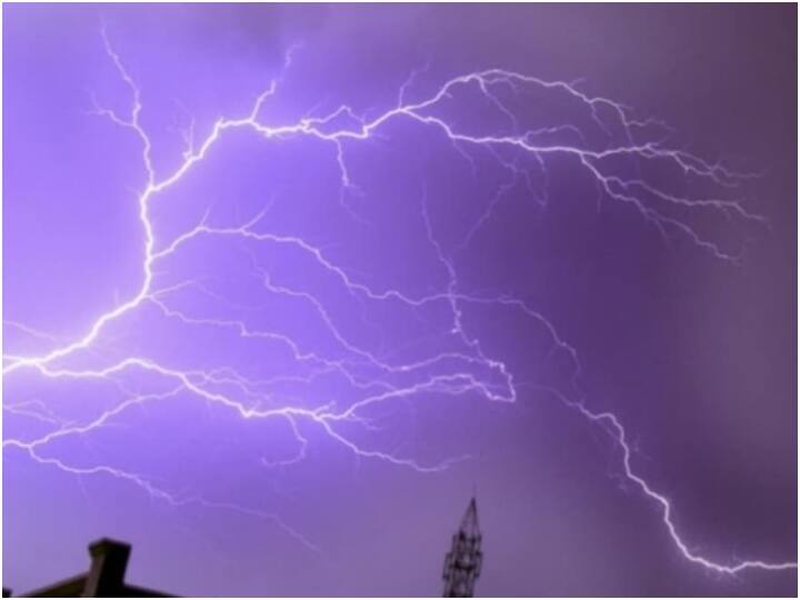 Surguja: आकाशीय बिजली गिरने से मवेशियों की हो गई मौत, खेती की तैयारी कर रहे किसान की टूटी आस surguja six cattle killed by lightning cattleman demanding exgratia relief ann Surguja: आकाशीय बिजली गिरने से मवेशियों की हो गई मौत, खेती की तैयारी कर रहे किसान की टूटी आस