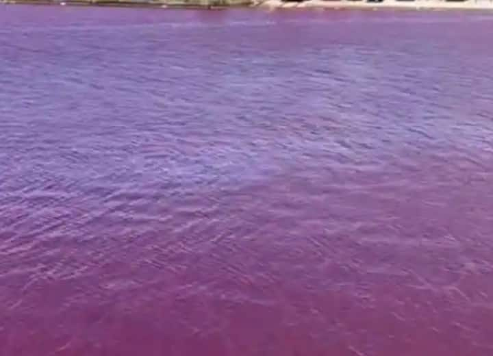 This river of Japan turned red with the color of blood, people were scared to see the water, the video went viral