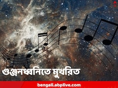নিজস্ব আবহসঙ্গীত রয়েছে ব্রহ্মাণ্ডের, শতবর্ষ আগেই বলেছিলেন আইনস্টাইন, এবার কানে শুনলেন বিজ্ঞানীরা