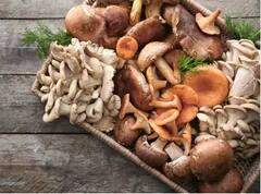 ਭਾਰ ਘੱਟ ਕਰਨ 'ਚ ਬਹੁਤ ਕਾਰਗਰ ਹੈ ਮਸ਼ਰੂਮ