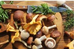 ਭਾਰ ਘੱਟ ਕਰਨ 'ਚ ਬਹੁਤ ਕਾਰਗਰ ਹੈ ਮਸ਼ਰੂਮ