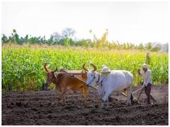 'आजा परदेसिया तैनूं अखियां उडीक दियां' के पोस्टर लेकर किसका इंतजार कर रहे किसान? फ्री खाने और Wi-Fi का ऑफर