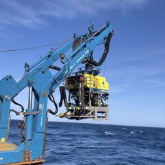 Titan Debris Recovered : టైటాన్ సబ్ మెర్సిబుల్ శకలాల్లో మృతుల ఆనవాళ్లు..? | ABP Desam