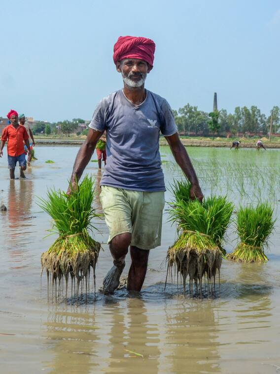 गन्ना किसानों को सरकार से मिली बड़ी सौगात