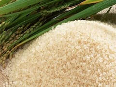 अब दिल खोल के चावल खा सकते हैं डायबिटीज के मरीज, रिसर्च में आया सामने-असम का जोहा चावल खाने से नहीं बढ़ेगी शुगर