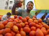 Tomato Price : टोमॅटोची 'लाली' वाढली, भंडाऱ्यात किलोला मिळतोय 140 रुपयांचा दर; पेट्रोलच्या दराला टाकलं मागं 
