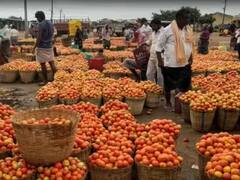 Vegetable Price: மீண்டும் உயரும் தக்காளியின் விலை.. இறங்காத பீன்ஸ், இஞ்சியின் விலை.. இன்றைய பட்டியல்..