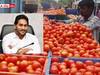 YS Jagan Good News: మండుతున్న టమాటా ధరలు, రాష్ట్ర ప్రజలకు జగన్ ప్రభుత్వం భారీ ఊరట