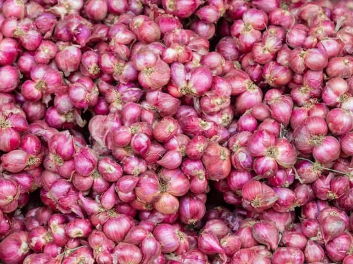 After tomato, the price of onion will increase now, the price of onion has increased during the festive season ટામેટા બાદ હવે ડુંગળી રડાવશે, તહેવારોના સમયમાં ડુંગળીના ભાવમાં થયો વધારો, જાણો જથ્થાબંધ બજારમાં કેટલી છે કિંમત