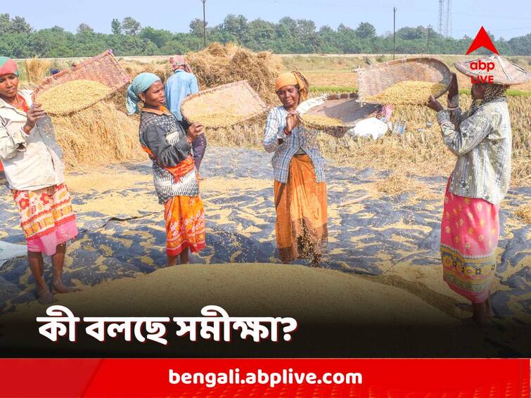 C-Voter Opinion Poll 2023 Panchayat Election repeated allegations against Central Government of not getting money for 100 Day work will work in favour of TMC C-Voter Opinion Poll 2023: কেন্দ্রের বিরুদ্ধে ১০০ দিনের কাজে আর্থিক বঞ্চনার অভিযোগ পঞ্চায়েত ভোটে বাড়তি সুবিধা দেবে তৃণমূলকে?