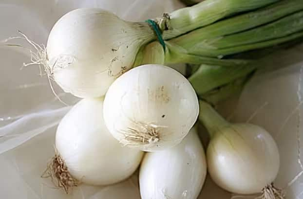 White Onion Health Benefits: ਪਿਆਜ਼ ਨੂੰ ਹਰ ਰਸੋਈ ਦੀ ਜਾਨ ਮੰਨਿਆ ਜਾਂਦਾ ਹੈ। ਕਿਉਂਕਿ ਇਸ ਤੋਂ ਬਿਨਾਂ ਸਬਜ਼ੀ ਦਾ ਸਵਾਦ ਅਧੂਰਾ ਹੈ। ਤੁਸੀਂ ਕਈ ਵਾਰ ਲਾਲ ਪਿਆਜ਼ ਖਾਧਾ ਹੋਵੇਗਾ। ਪਰ ਕੀ ਤੁਸੀਂ ਕਦੇ ਚਿੱਟੇ ਪਿਆਜ਼ ਦਾ ਸੁਆਦ ਚੱਖਿਆ ਹੈ?