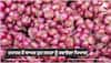 Onion Price Hike: ਟਮਾਟਰ ਤੋਂ ਬਾਅਦ ਹੁਣ ਜਨਤਾ ਨੂੰ ਰਵਾਏਗਾ ਪਿਆਜ਼! ਵੱਧ ਸਕਦੇ ਨੇ ਭਾਅ