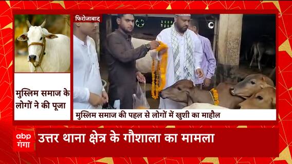 Firozabad में बकरीद के मौके पर मुस्लिम समाज के लोगों ने गाय की सेवा कर पेश की मिसाल