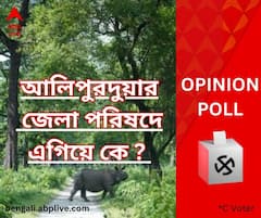 আলিপুরদুয়ারে কি তৃণমূলের মুঠো আলগা? নাকি ফাটল বিরোধী শিবিরে? কী বলছে সমীক্ষা?