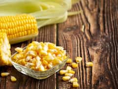 Corn Fritters Recipe: बारिश के मौसम में शाम की चाय के साथ फिल्टर कॉर्न करें ट्राई, बच्चे से लेकर बूढ़े तक को आएगा खूब पसंद