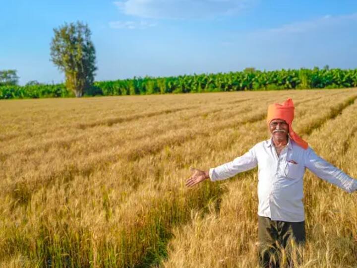 இதனை தொடர்ந்து 16.08 சதவீத கோதுமையை உற்பத்தி செய்யும் மத்திய பிரதேசம் இரண்டாம் இடத்தையும் 15.65 சதவீத கோதுமையை உற்பத்தி செய்யும் பஞ்சாப் மூன்றாவது இடத்தையும் பிடிக்கிறது.