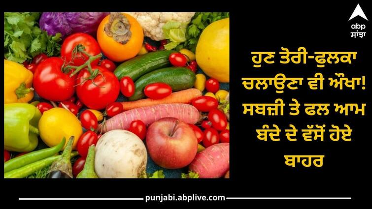 Ludhiana News:  price hike of vegetables Vegetables and fruits are out of reach of the common man Ludhiana News: ਹੁਣ ਤੋਰੀ-ਫੁਲਕਾ ਚਲਾਉਣਾ ਵੀ ਔਖਾ! ਸਬਜ਼ੀ ਤੇ ਫਲ ਆਮ ਬੰਦੇ ਦੇ ਵੱਸੋਂ ਹੋਏ ਬਾਹਰ