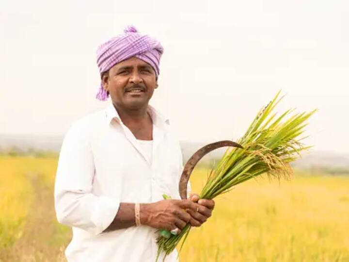தென் மாவட்டங்களை பொறுத்தவரை டெல்டா பகுதிகளில் அரிசி அதிகமாக உற்பத்தி செய்யப்படுகிறது. கோதாவரி, கிருஷ்ணா, காவேரி ஆகிய நதிகளின் அருகில் இருக்கும் இடமே டெல்டா பகுதி என்பது குறிப்பிடதக்கது.