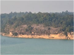 मिट्टी का कटाव रोकने नदी किनारे हो रहा पौधारोपण, अब कोरबा में लगाए जाएंगे 16 हजार पौधे