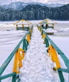 5 ਤੋਂ 6 ਹਜ਼ਾਰ ਰੁਪਏ ਵਿੱਚ ਚਾਰ ਦਿਨਾਂ ਲਈ ਘੁੰਮ ਸਕਦੇ ਹੋ ਡਲਹੌਜ਼ੀ... ਇੰਝ ਬਣਾਓ ਬਜਟ