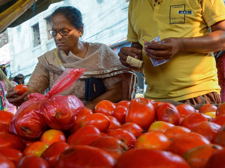 Wholesale dealers have attributed the high prices to heavy rainfall in various regions of north India that has resulted in damage to the tomato crops, thereby limiting the availability of an adequate supply and causing a price increase. (Image Source: PTI)