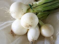 'सफेद प्याज' भी है बहुत फायदेमंद, इन्हें खाने से दूर हो सकती हैं शरीर की ये दिक्कतें
