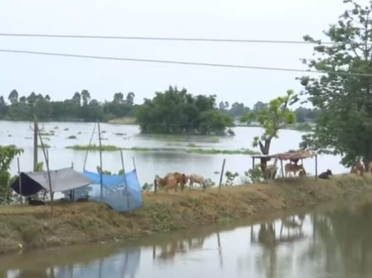 Assam Floods Situation Grim Barpeta District Farmers Face Massive Losses 43,000 Affected Assam Floods: Situation Remains Grim In Barpeta, Farmers Face Massive Losses, Nearly 43,000 Affected