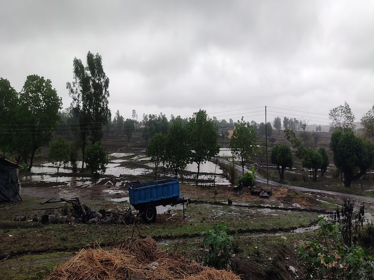 Maharashtra Rain Updates Heavy rain overnight in Nashik Trimbakeshwar and Igatpuri Know details Nashik Rain Updates: नाशिक, त्र्यंबकेश्वर, इगतपुरीत रात्रभर मुसळधार; शेतकऱ्यांना दिलासा, शेती कामांना लगबग