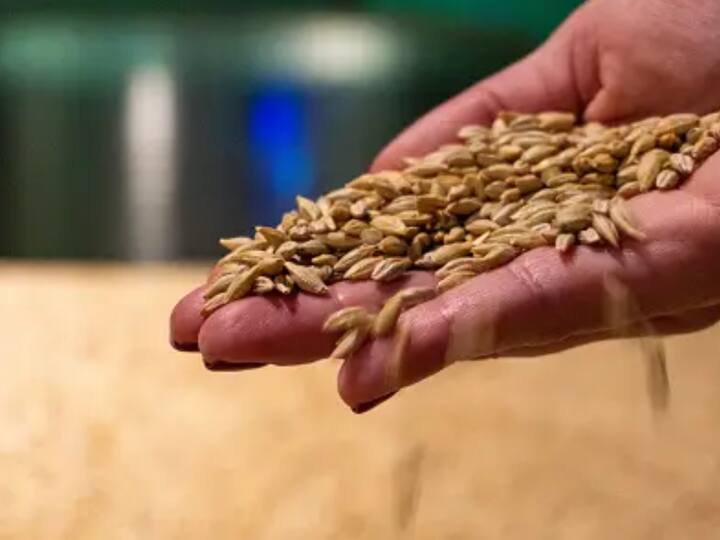 வட மாநிலத்தவர்களின் உணவுக்கு தேவைப்படும் கோதுமையின் உற்பத்தி பற்றி முதலில் காண்போம்.