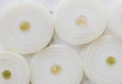 ‘ਚਿੱਟਾ ਪਿਆਜ ਵੀ ਬਹੁਤ ਫਾਇਦੇਮੰਦ’, ਇਸ ਨੂੰ ਖਾਣ ਨਾਲ ਦੂਰ ਹੋ ਸਕਦੀਆਂ ਸਰੀਰ ਦੀਆਂ ਇਹ ਮੁਸ਼ਕਿਲਾਂ