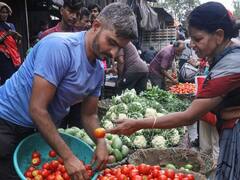 मध्य प्रदेश में टमाटर के भाव आसमान पर, अब अगस्त तक करना पड़ेगा इंतजार