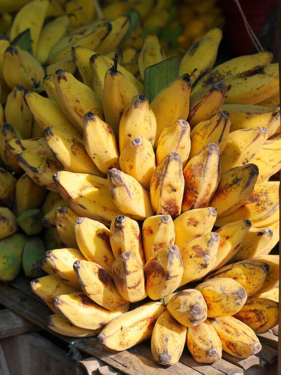 ये हैं वो 10 राज्य जहां सबसे ज्यादा होता है केला का उत्पादन