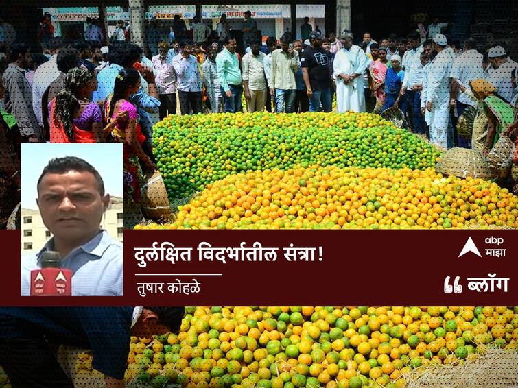 blog of tushar kohale on nagpur orange story negligence of nagpur santra farmers story  Nagpur Orange : दुर्लक्षित विदर्भातील संत्रा!