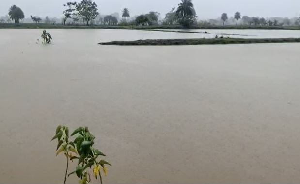 Mumbai Rain: मुंबईसह उपनगरात मुसळधार पाऊस, रेल्वेसह रस्ते वाहतुकीवर परिणाम  