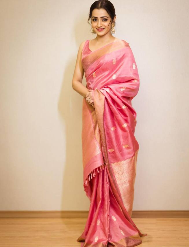 பொன்னியின் செல்வன் படத்திற்கு முன்பு இவருக்கு பட வாய்ப்புகள் பெரிதாக வரவில்லை. நடித்த படங்களும் எதிர்பார்த்த அளவுக்கு வெற்றி பெறவில்லை.இதனால் த்ரிஷாவின் மார்க்கெட் சரிந்தது.