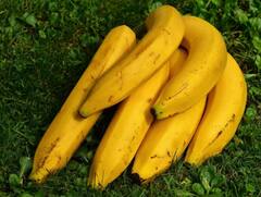 ਕੇਲੇ ਦੇ ਨਾਲ ਗਲਤੀ ਨਾਲ ਵੀ ਨਾ ਖਾਓ ਇਹ ਚੀਜ਼ਾਂ, ਨਹੀਂ ਤਾਂ ਪੇਟ ਨੂੰ ਲੈ ਕੇ ਹਮੇਸ਼ਾ ਰਹੋਗੇ ਪਰੇਸ਼ਾਨ