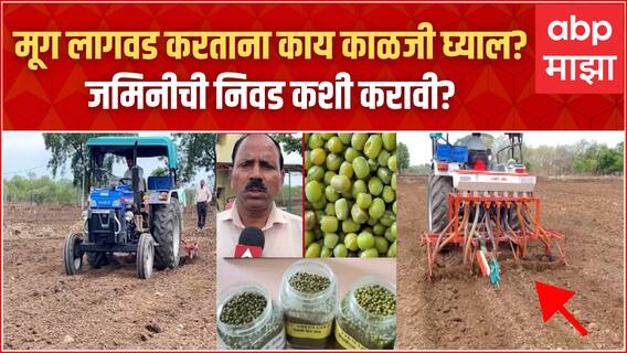 Saat Barachya Batmya : मूग लागवड करताना काय काळजी घ्याल? जमिनीची निवड कशी करावी? ABP Majha