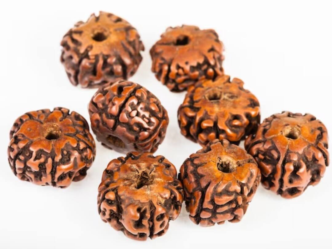 Rudraksha Remedy: పెళ్లి కావట్లేదని బెంగ పెట్టుకున్నారా? ఈ రుద్రాక్షలను ధరిస్తే త్వరలోనే గుడ్ న్యూస్ వింటారట! which rudraksha is best remedy for delay in marriage Rudraksha Remedy: పెళ్లి కావట్లేదని బెంగ పెట్టుకున్నారా? ఈ రుద్రాక్షలను ధరిస్తే త్వరలోనే గుడ్ న్యూస్ వింటారట!