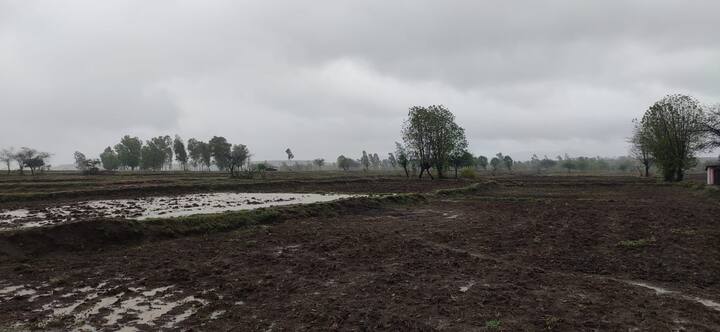 गेल्या दोन दिवसांपासून जिल्ह्यात रिपरिप सुरु असून अशातच काल रात्रभर त्र्यंबकेश्वरसह इगतपुरी परिसराला पावसाने झोडपून काढले आहे. त्यामुळे शेतकऱ्यांना दिलासा मिळाला असून शेतीकामांना वेग आला आहे.