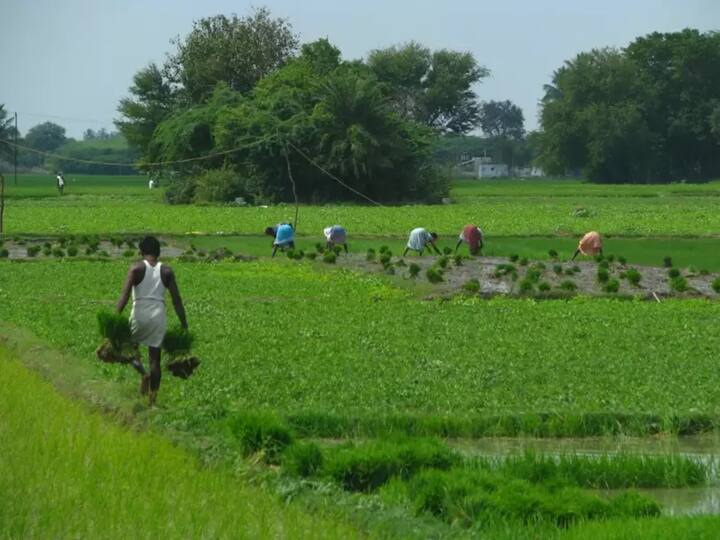 விவசாயித்தை அதிகம் நம்பியிருக்கும் நாடுகளின் பட்டியலை காணலாம்.